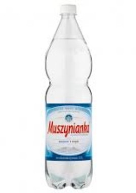 Woda mineralna wysokozmineralizowana niskonasycona CO2/ Mineral Water 