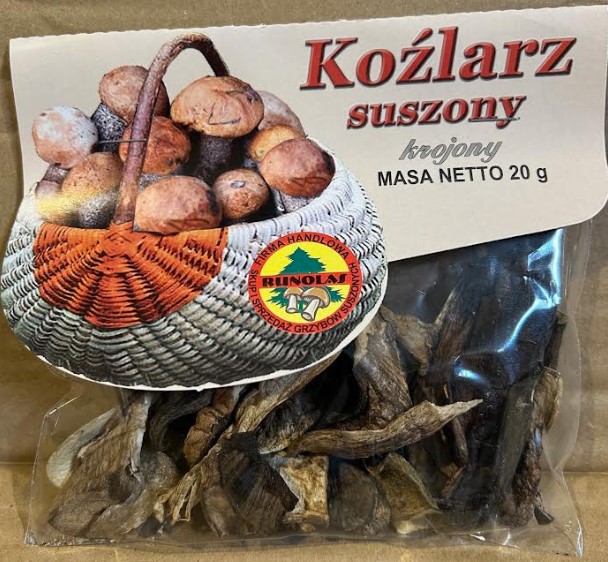 Grzyb Kozlarz/ Leccinum Mushroom 