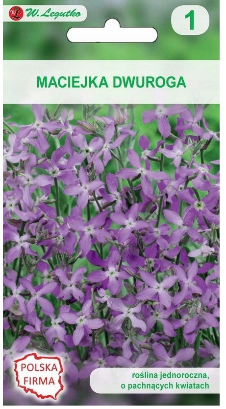 Maciejka dwuroga przyprawa 5 g